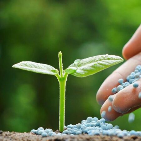 Fertilizantes