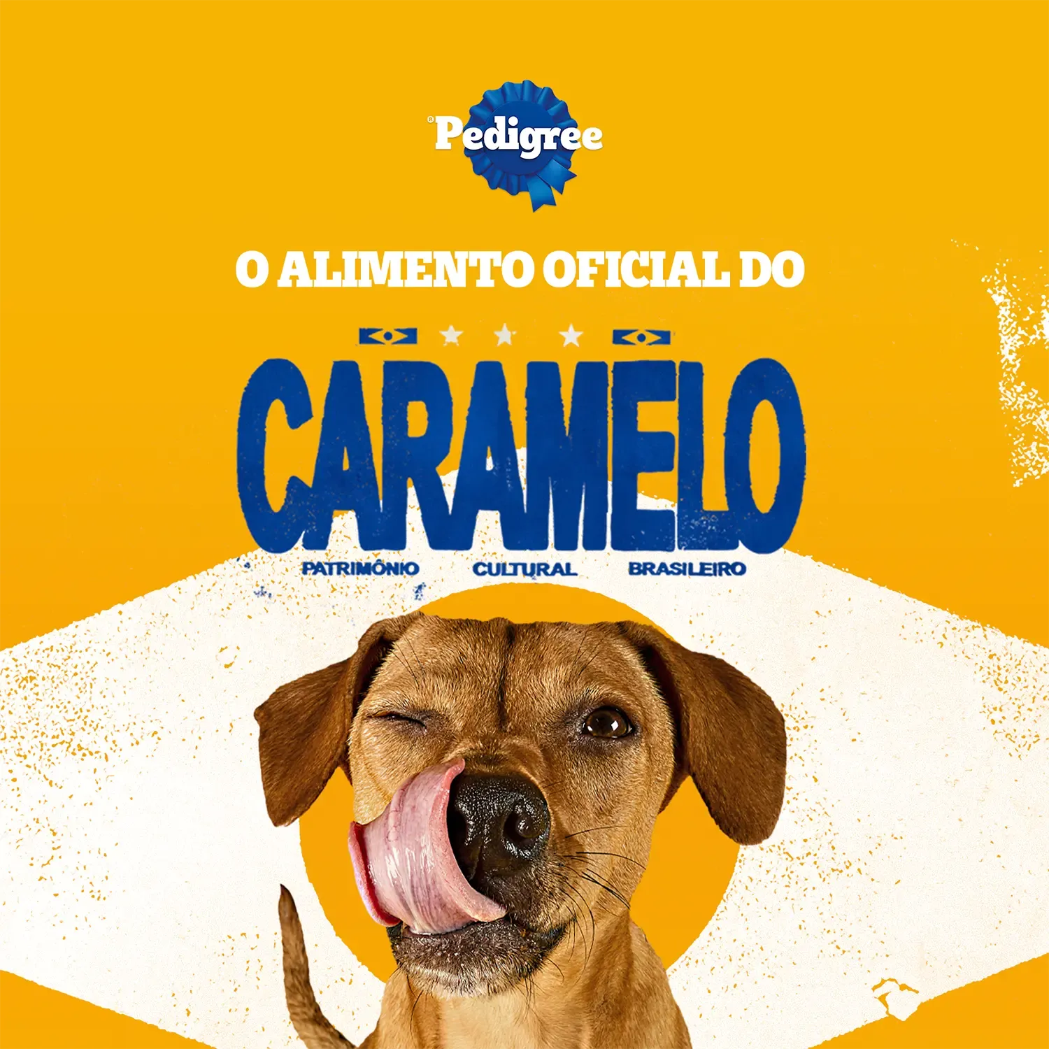 Biscoito Pedigree Marrobone para Cães Adultos Carne - Imagem 5
