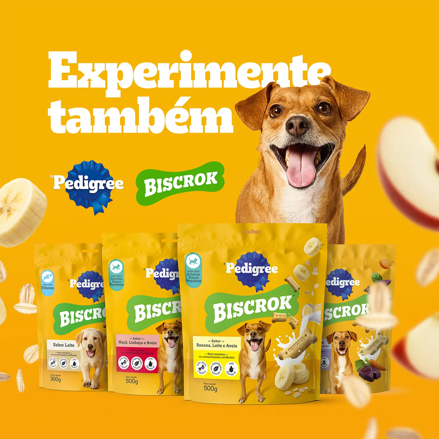 Biscoito Pedigree Marrobone para Cães Adultos Carne - Imagem 10