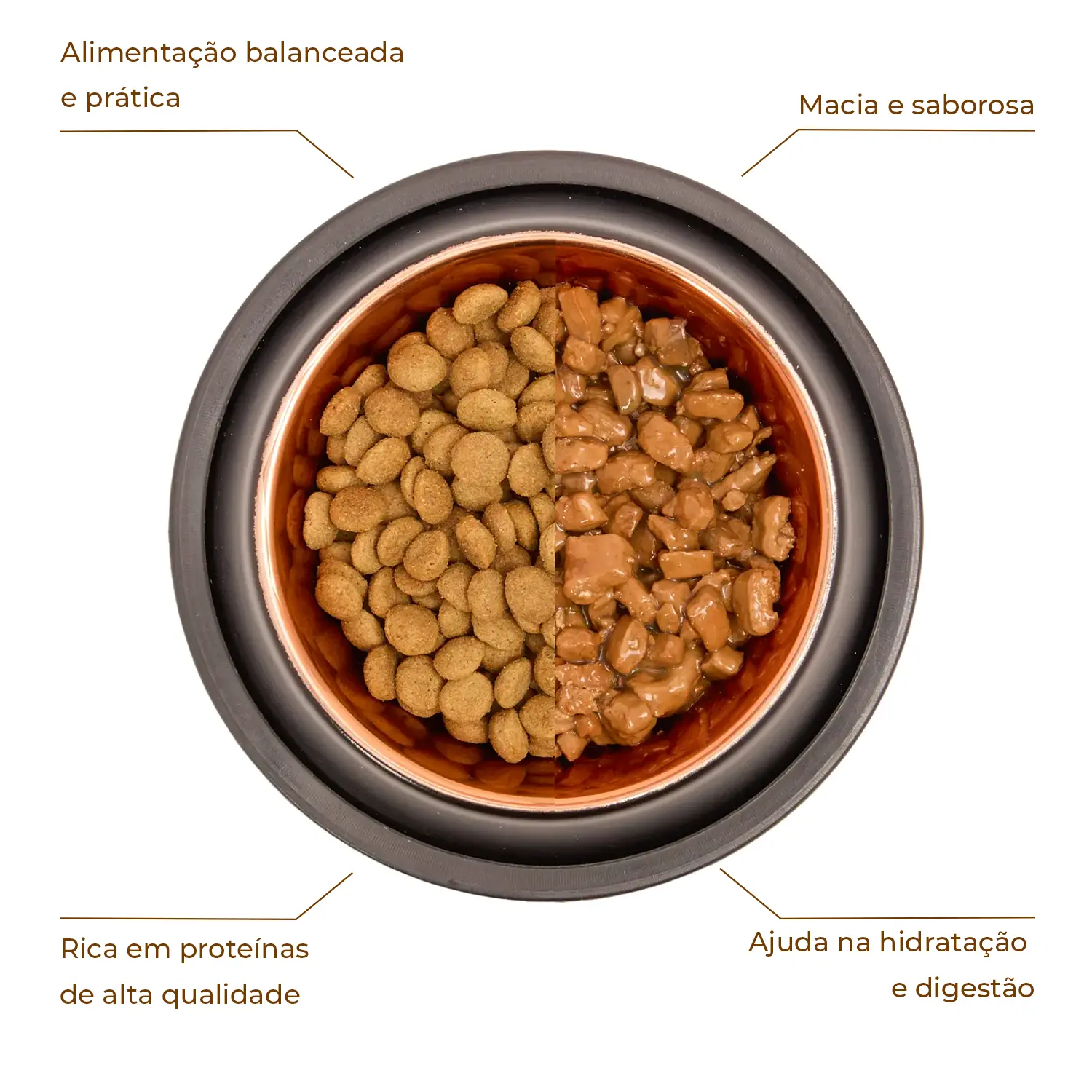 Ração Úmida Joy Cães Adultos Carne ao Molho - Imagem 3