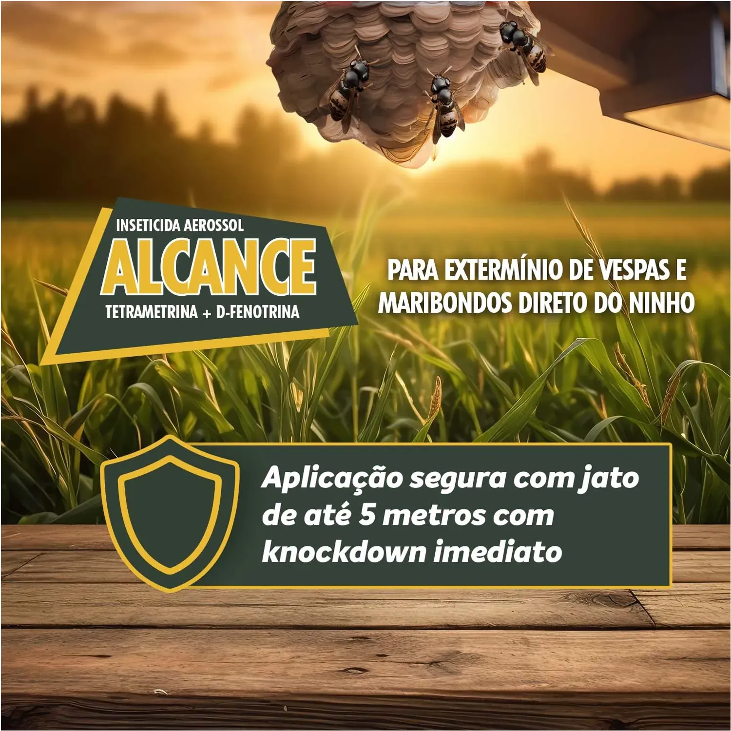 Inseticida Alcance Aerossol Haxea - Imagem 6