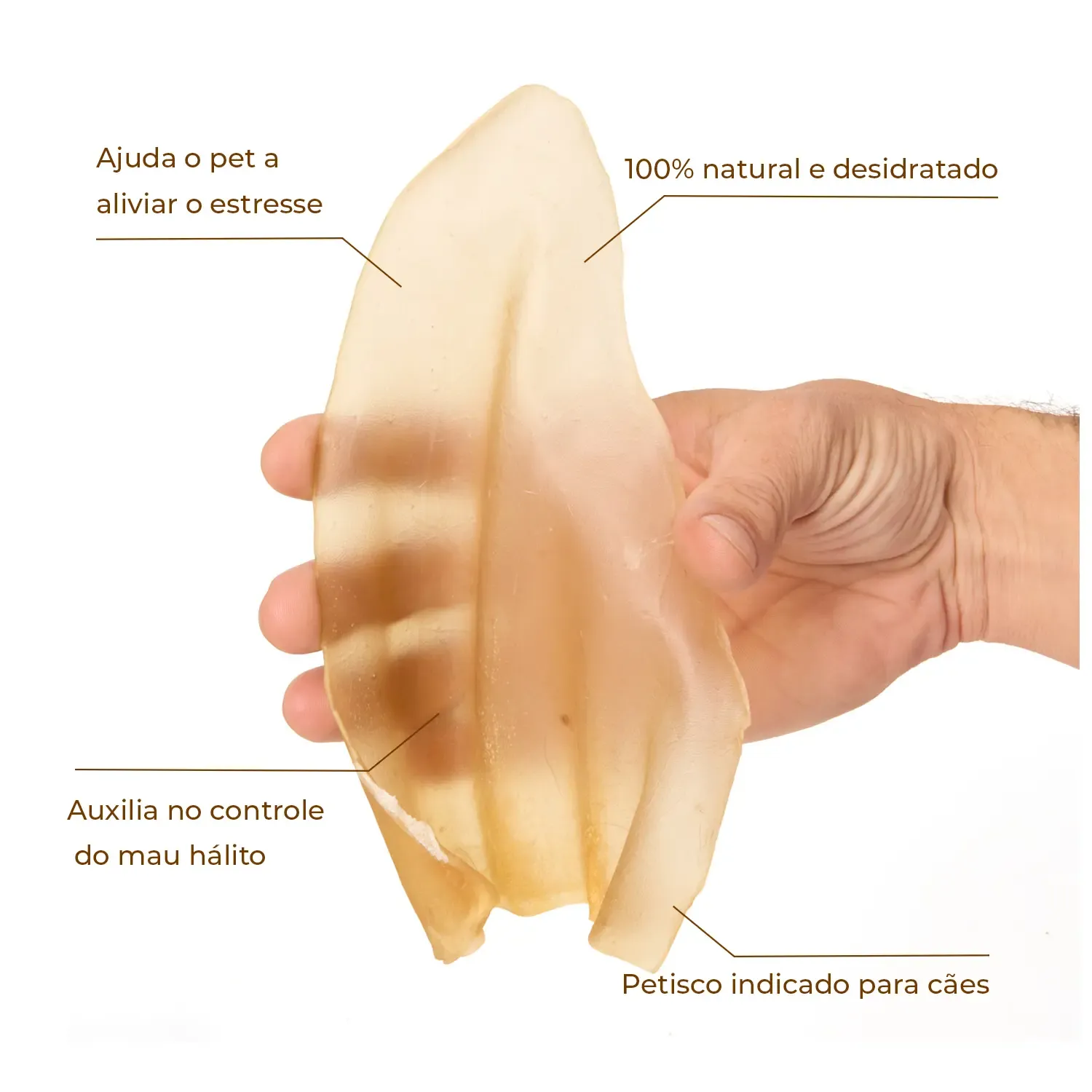 Joy Orelha Bovina Natural Desidratada - Imagem 2