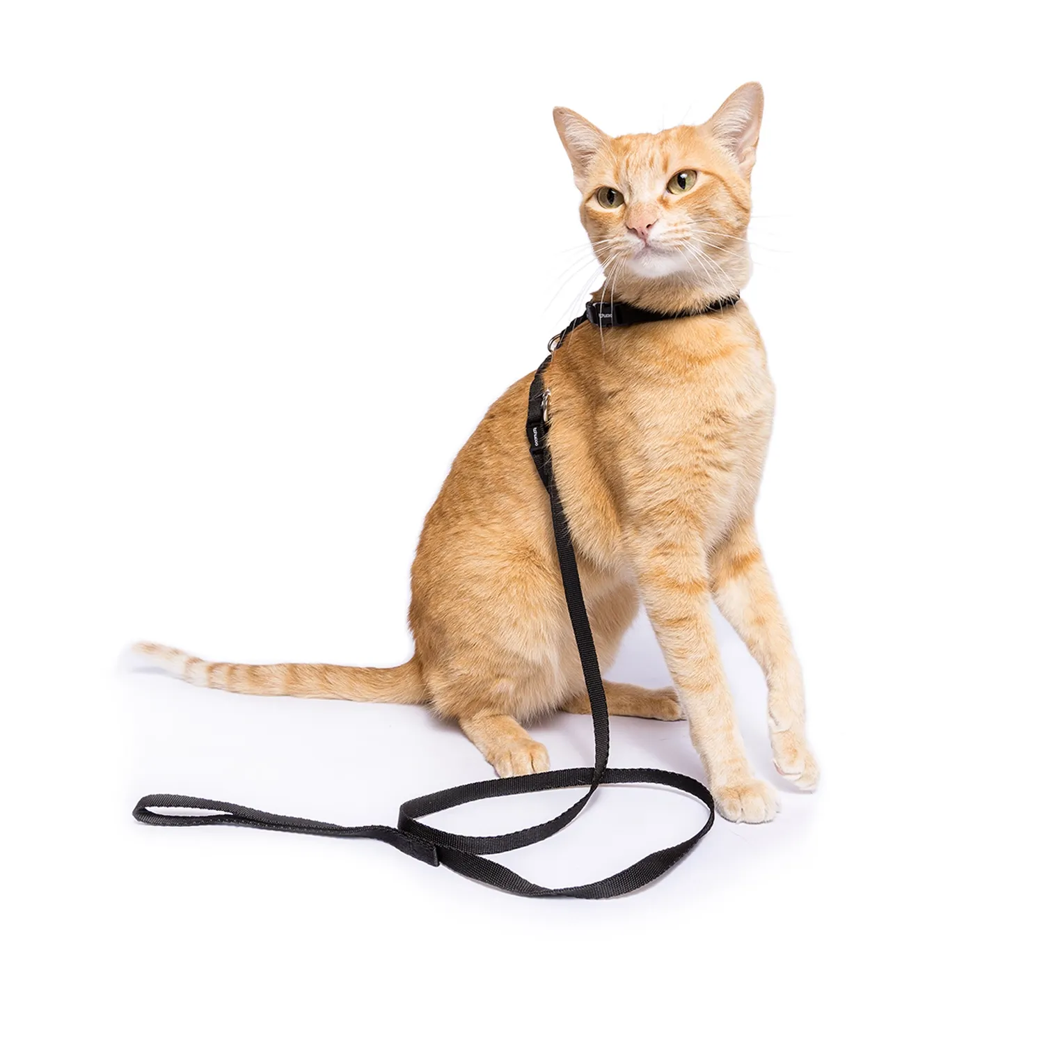 Peitoral H com Guia para Gatos Tchucoo Preto - Imagem 2