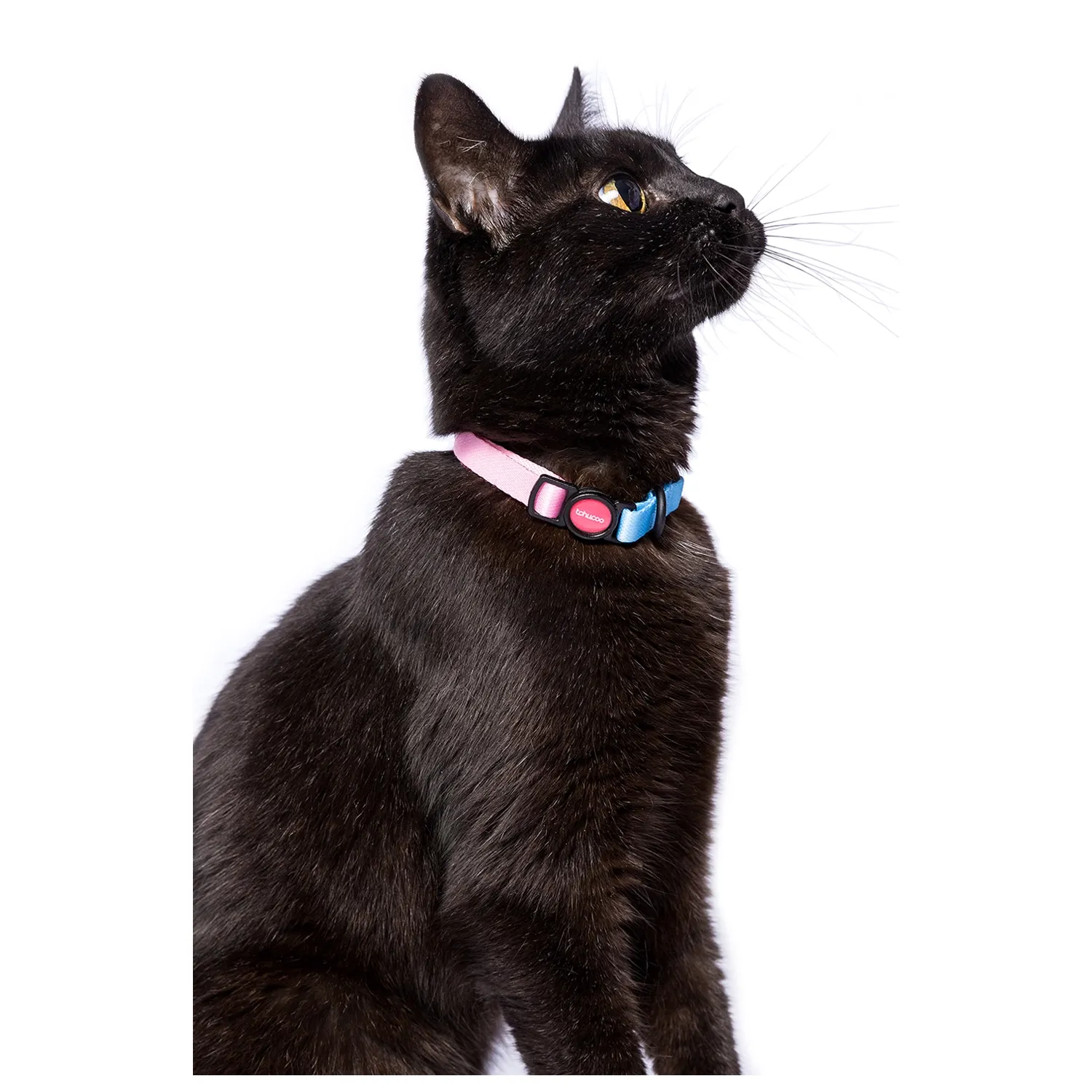 Coleira para Gatos Baby Tchucoo Rosa - Imagem 3