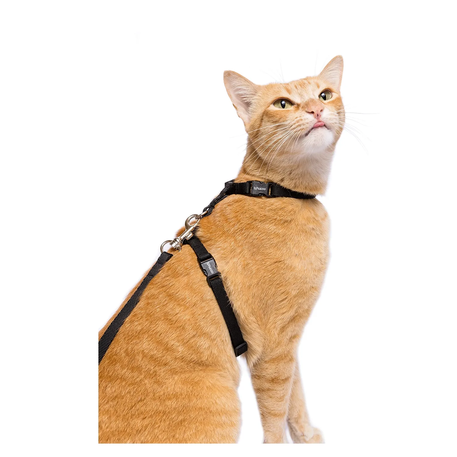 Peitoral H com Guia para Gatos Tchucoo Preto - Imagem 3
