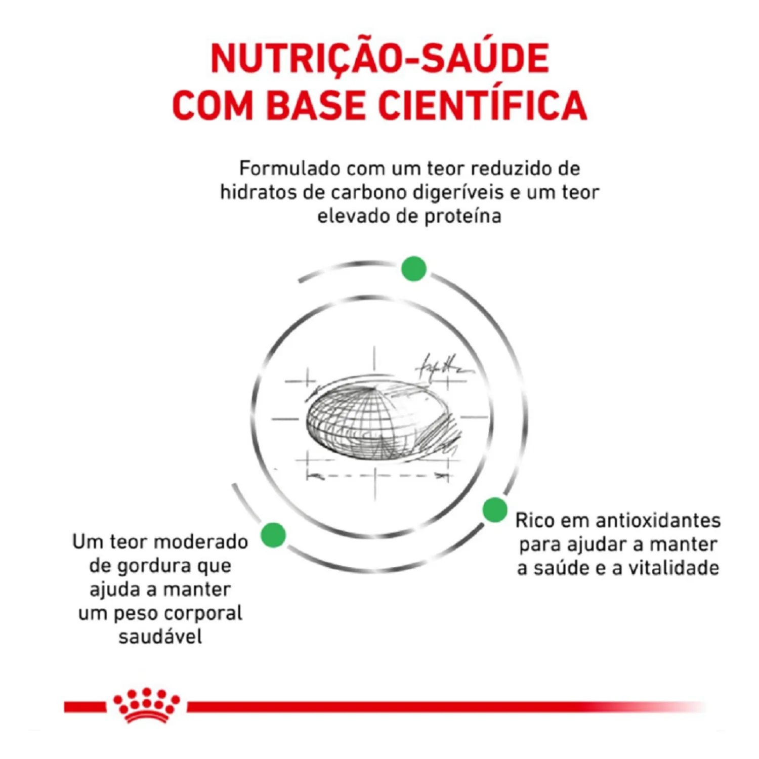 Ração Royal Canin Veterinary Diet Satiety para Gatos Com Excesso de Peso - Imagem 9