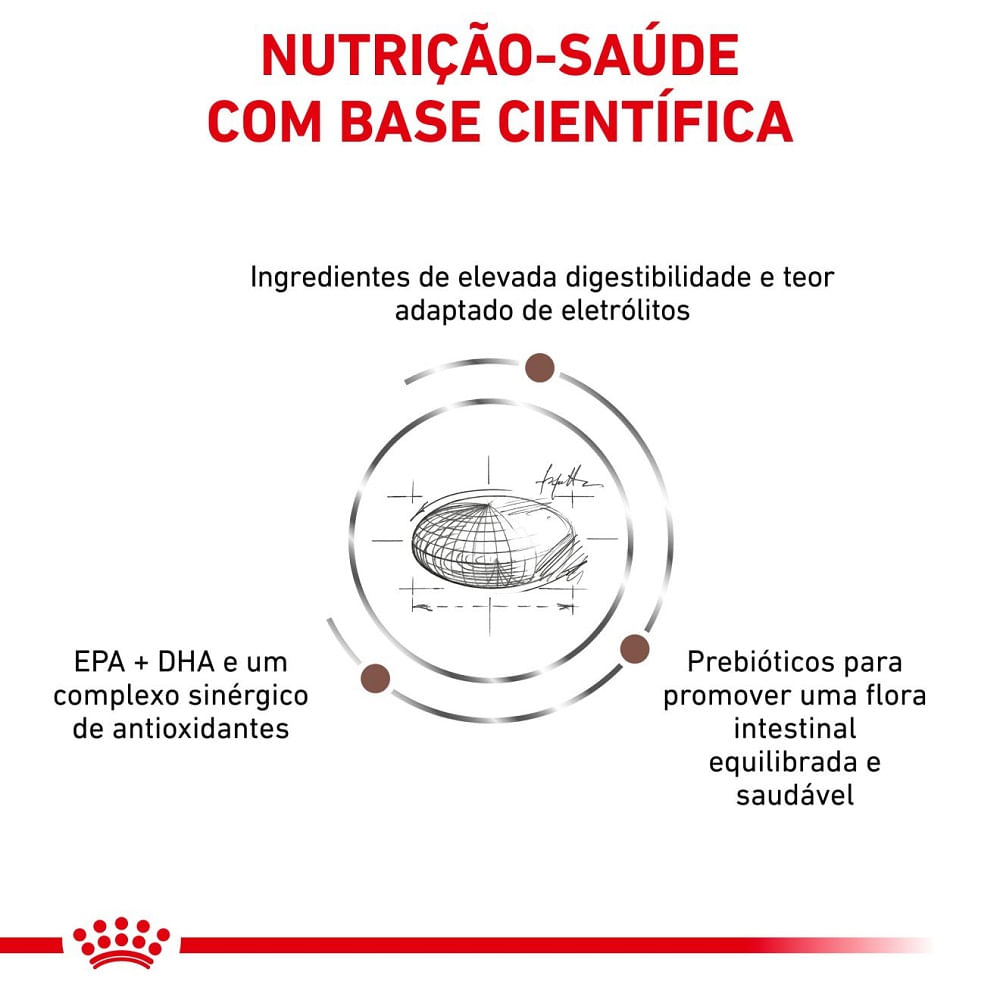 Ração Royal Canin Veterinary Diet Gastrointestinal para Cães Adultos com Sensibilidades Gastrointestinais - Imagem 3