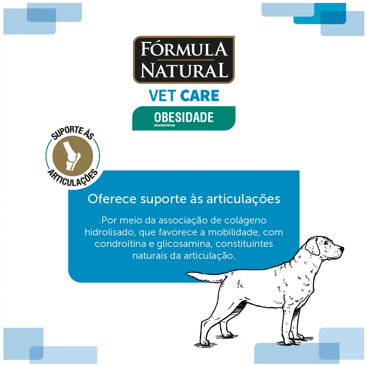 Ração Fórmula Natural Vet Care Obesidade Cães Médio e Grande - Imagem 7