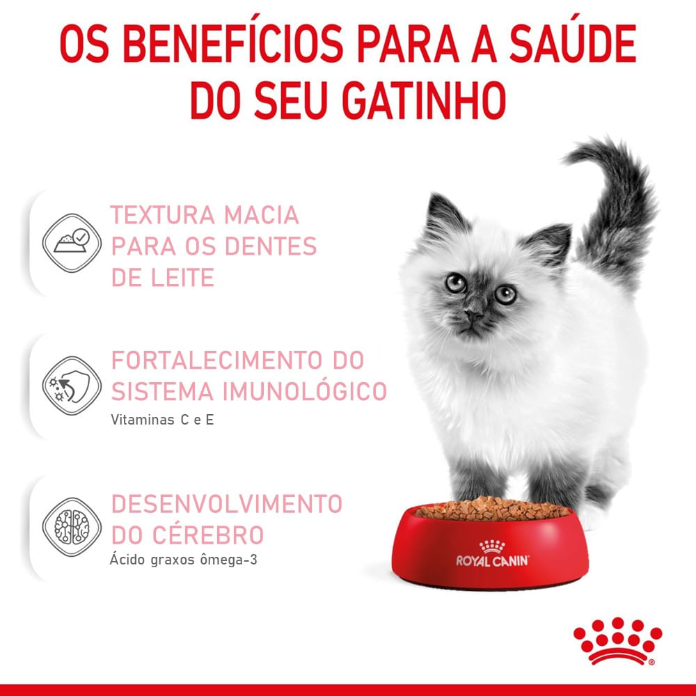 Ração Úmida Royal Canin Kitten Gatos Filhotes - Imagem 3