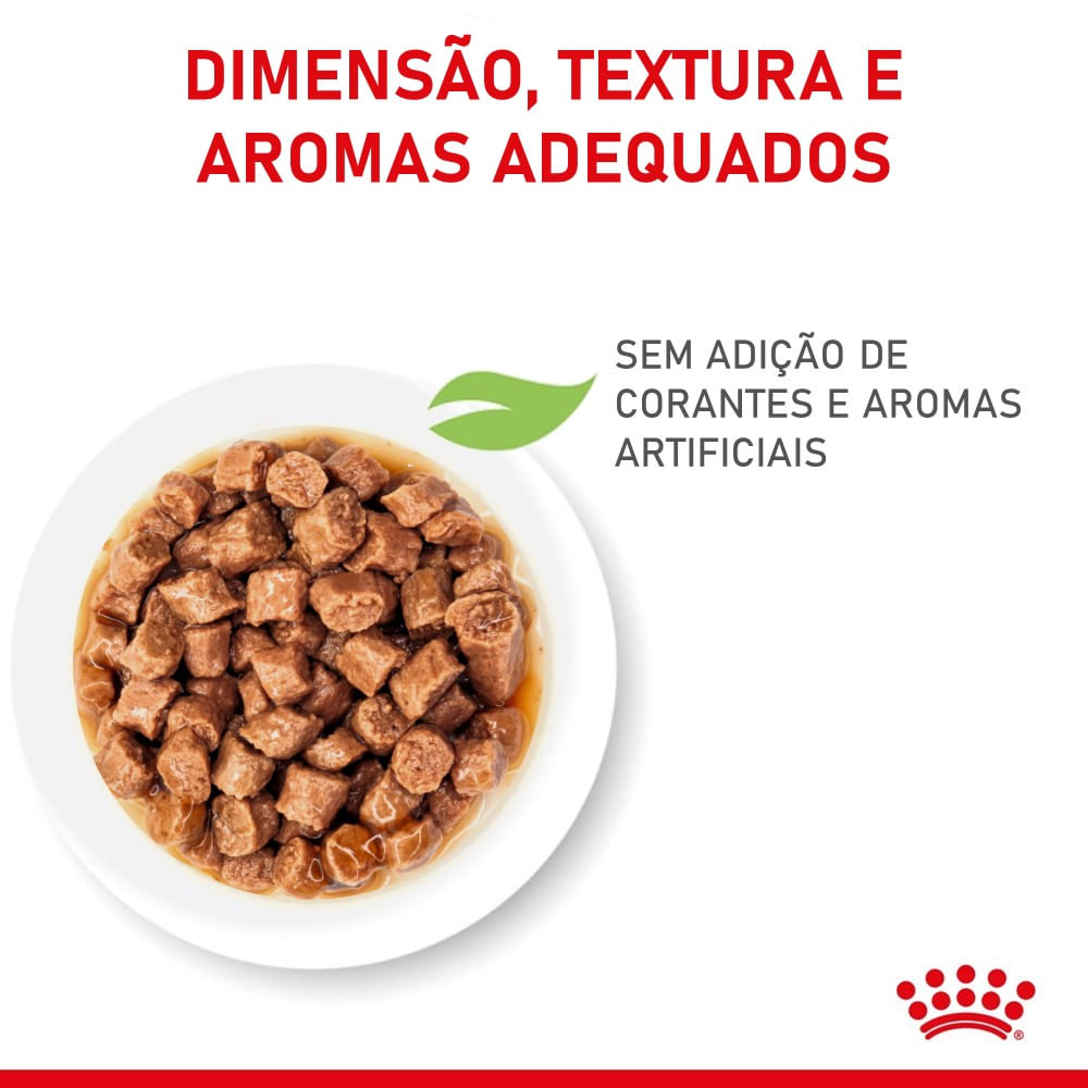 Ração Úmida Royal Canin Kitten Gatos Filhotes - Imagem 4