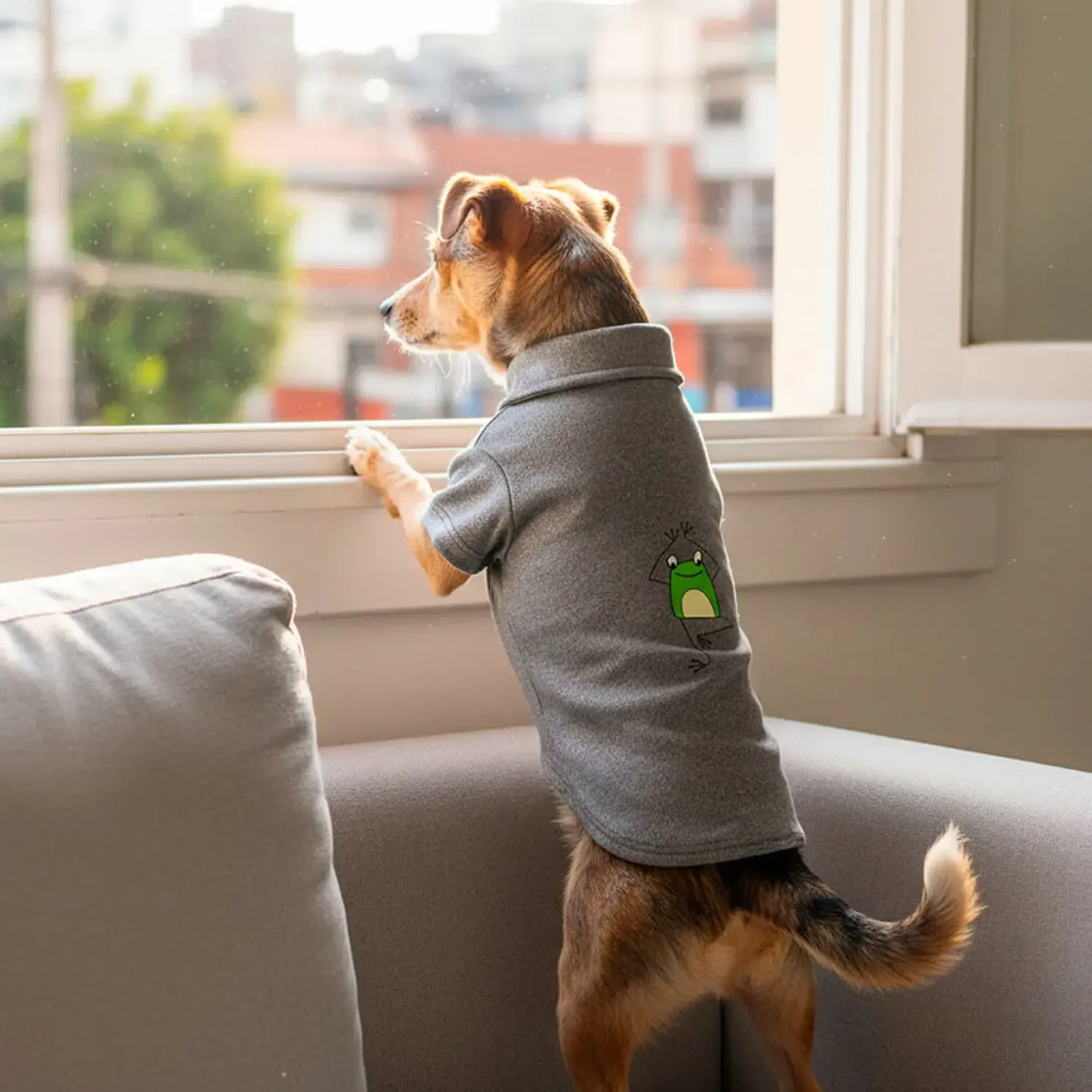 Polo Malha Sapo Cinza Fábrica Pet - Imagem 34