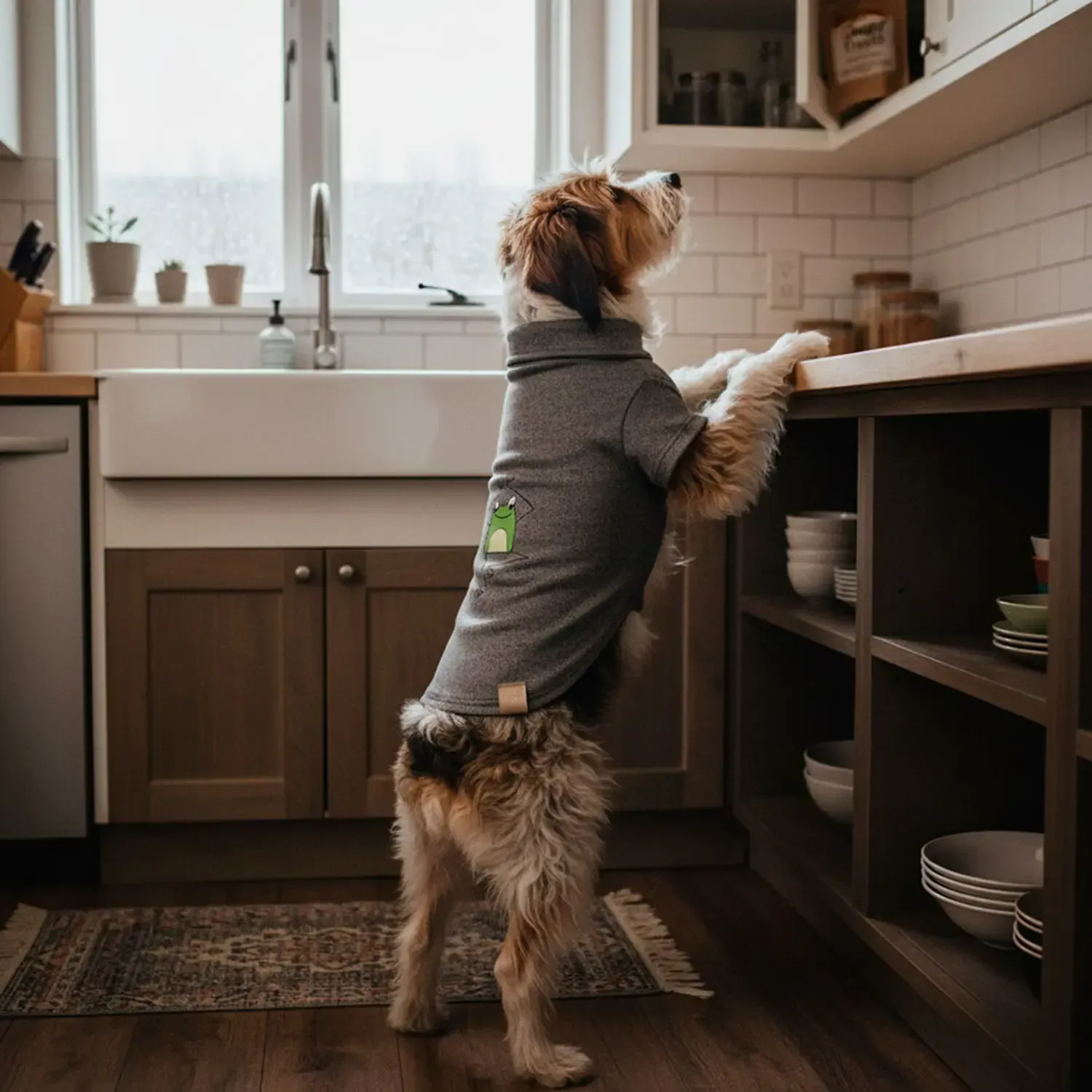Polo Malha Sapo Cinza Fábrica Pet - Imagem 43