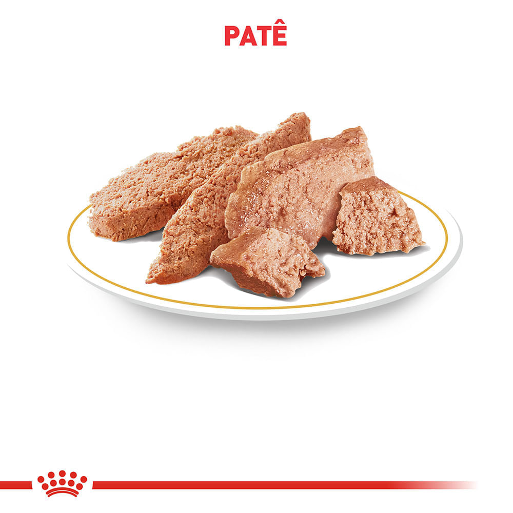 Ração Úmida Royal Canin Lata Veterinary Diet Hypoallergenic para Cães Adultos com Alergias - Imagem 6
