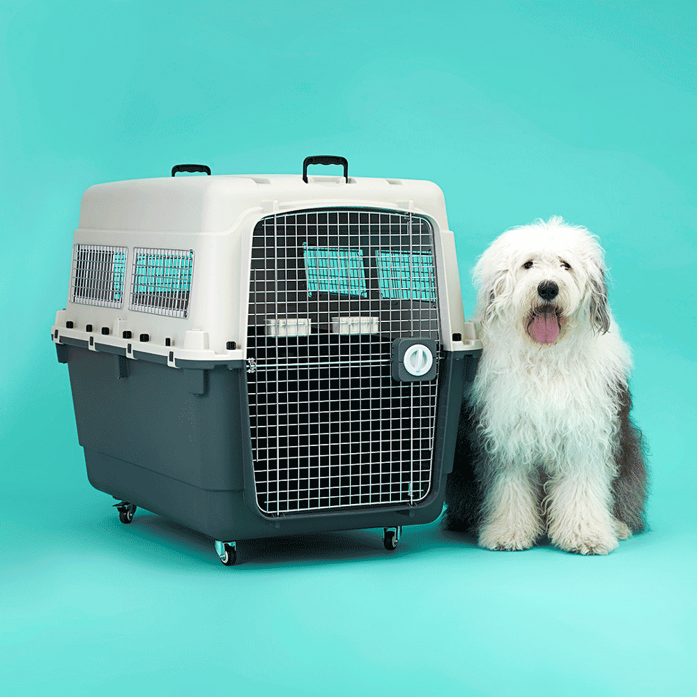 Caixa de Transporte para Cães e Gatos Gomoov - Imagem 33