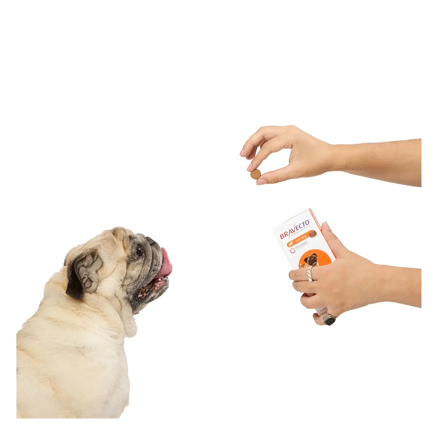 Antipulgas e Carrapatos Bravecto > 4,5 a 10 kg para Cães 250mg - Imagem 6