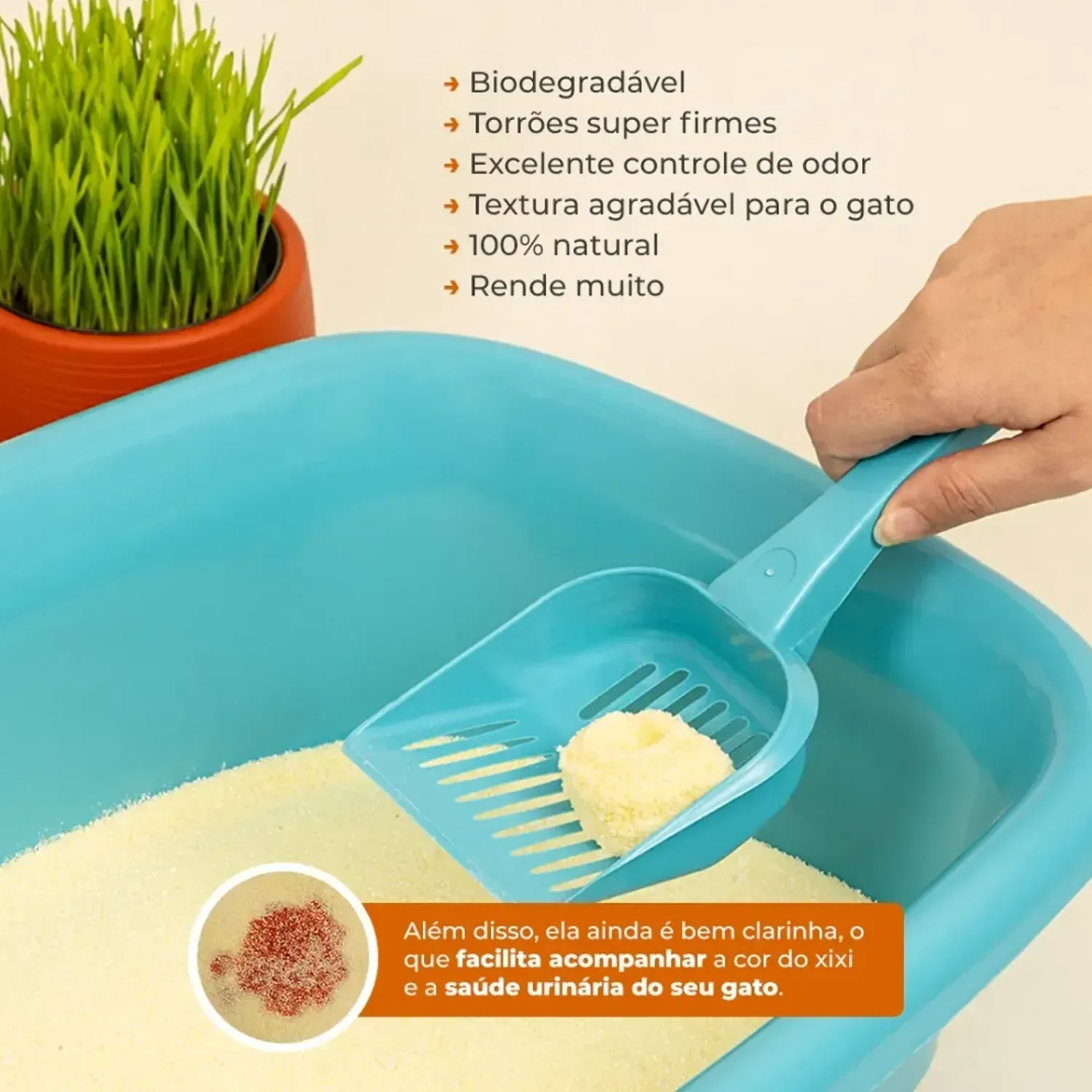 Areia Higiênica MyHug Biodegradável Milho e Mandioca Grânulos Finos - Imagem 7