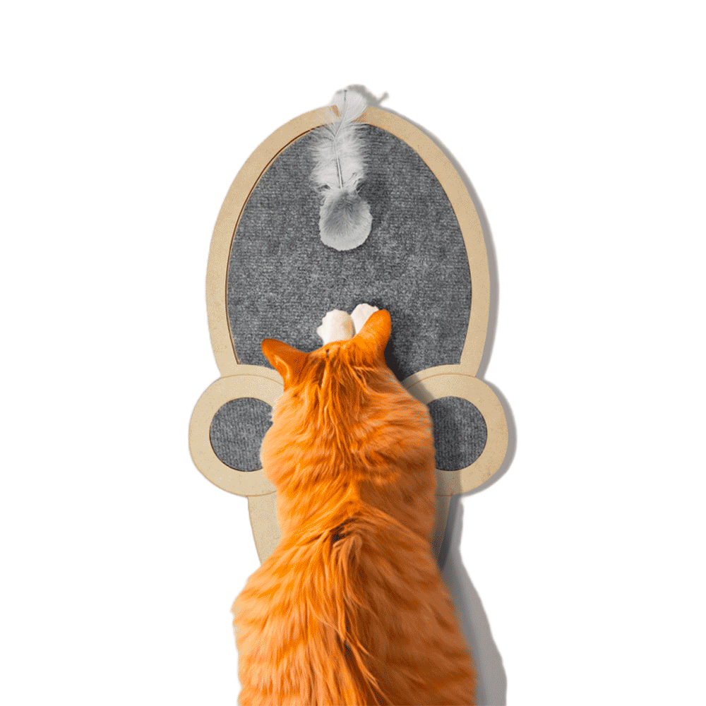 Arranhador Joy Mouse Fábrica Pet Cinza - Imagem 2