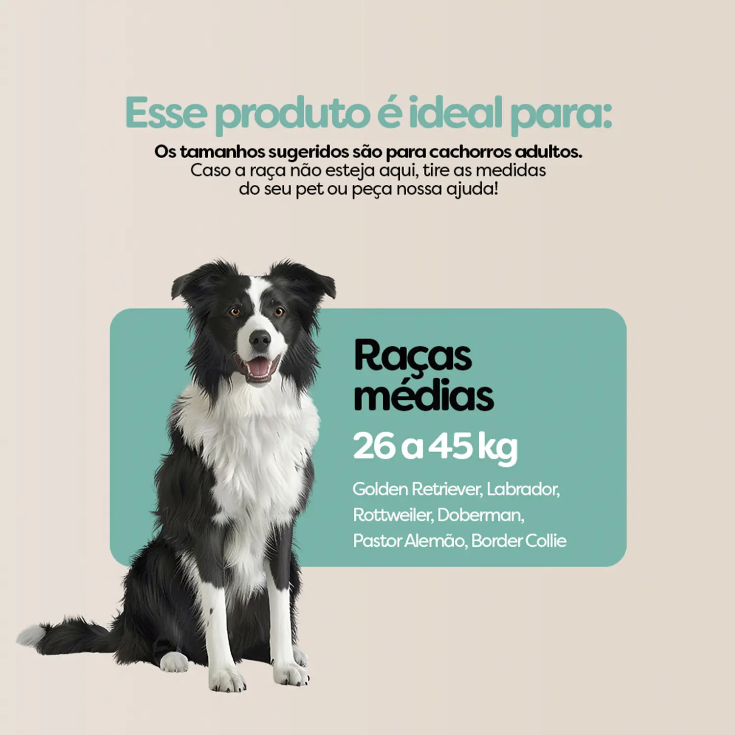 Comedouro Lento com Labirinto Stark Pet Azul - Imagem 15