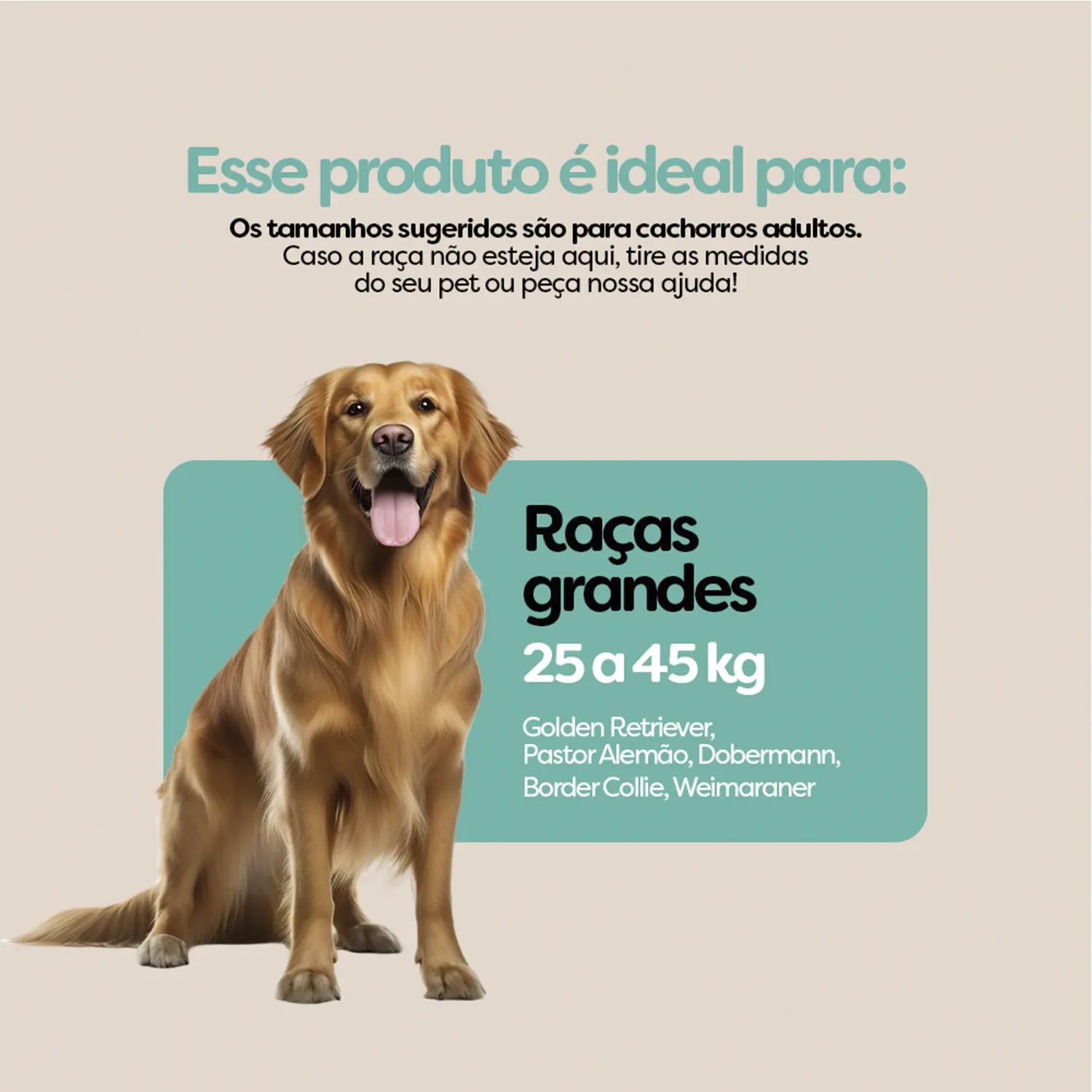Brinquedo Bola Maciça Slim Ball Stark Pet Roxo - Imagem 20
