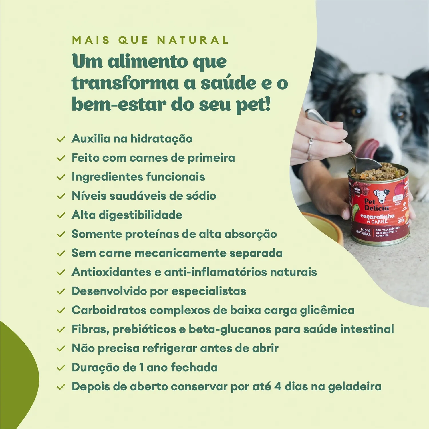 Ração Úmida Pet Delícia Cães Panelinha de Carne - Imagem 4