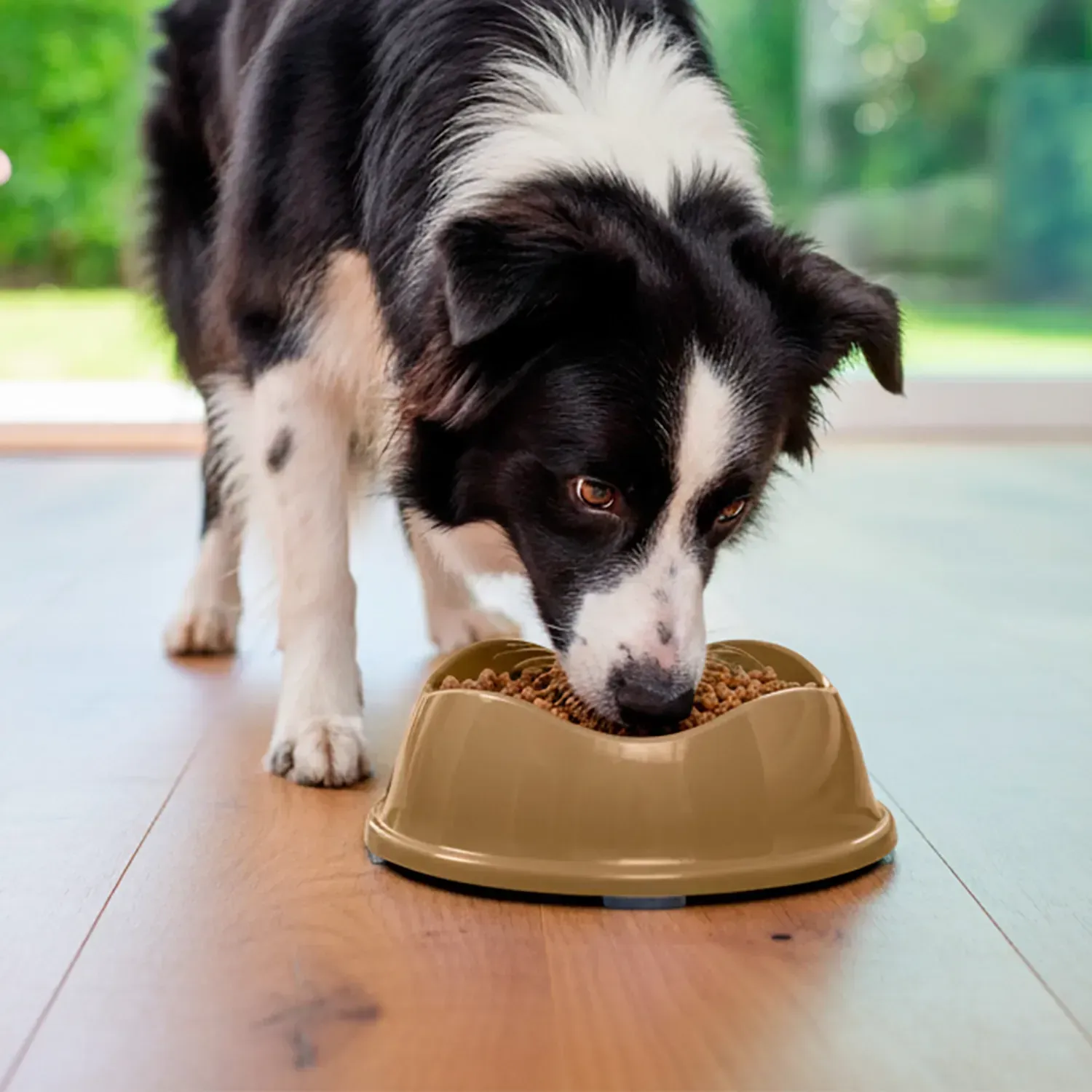 Comedouro Bowl Antiderrapante Stark Pet Bege - Imagem 20
