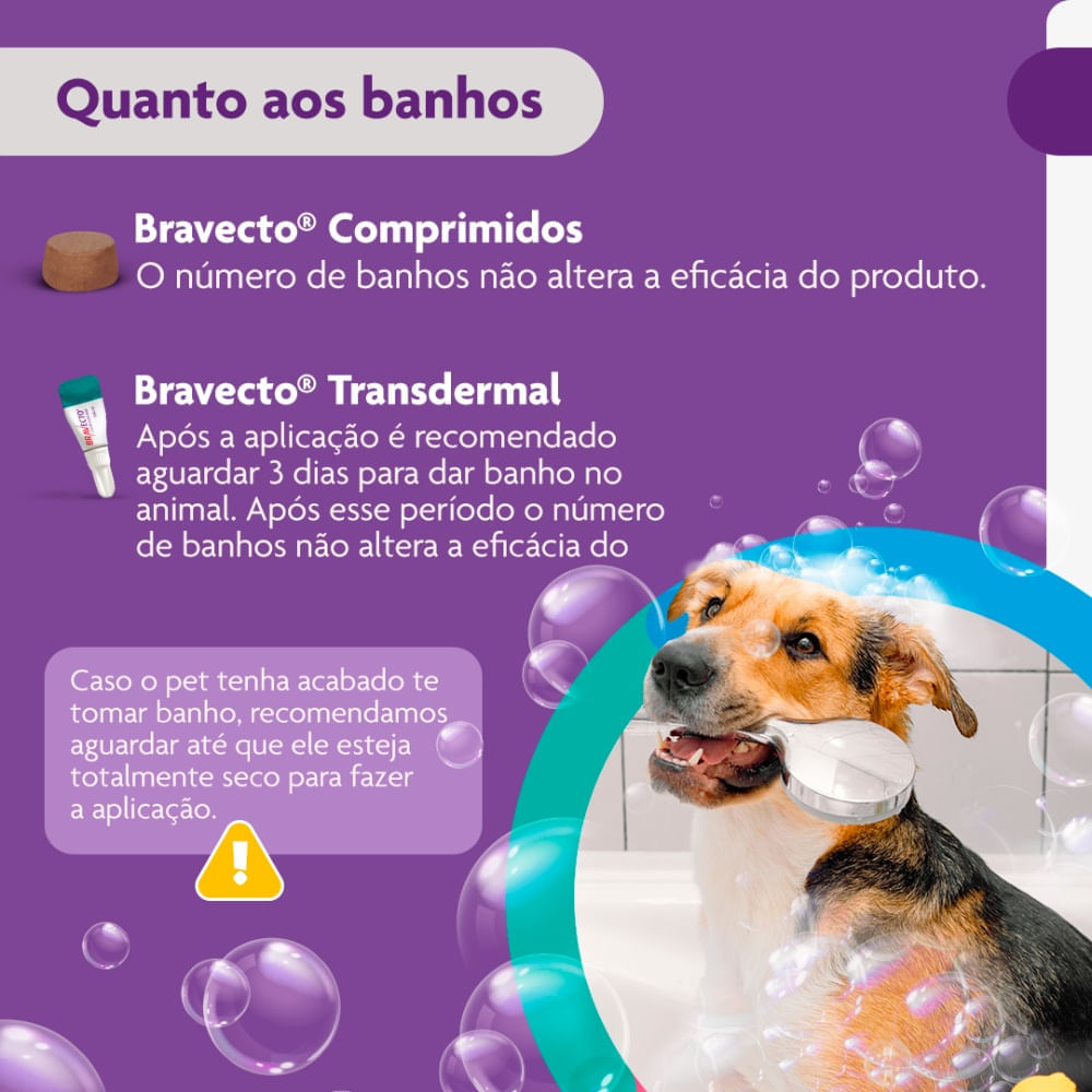 Antipulgas e Carrapatos Bravecto 10 kg a 20 kg Cães 500mg - Imagem 10