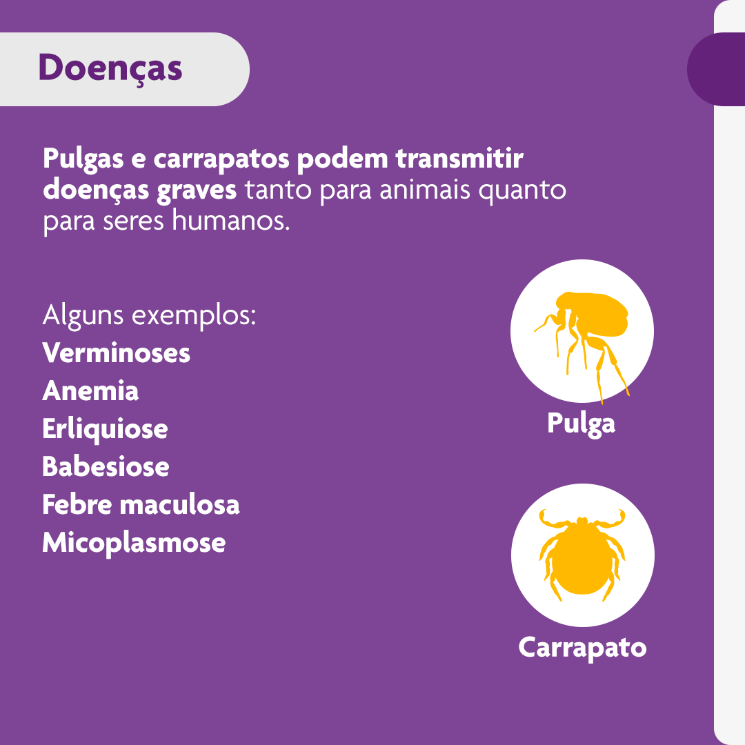 Antipulgas e Carrapatos Bravecto 10 kg a 20 kg Cães 500mg - Imagem 4