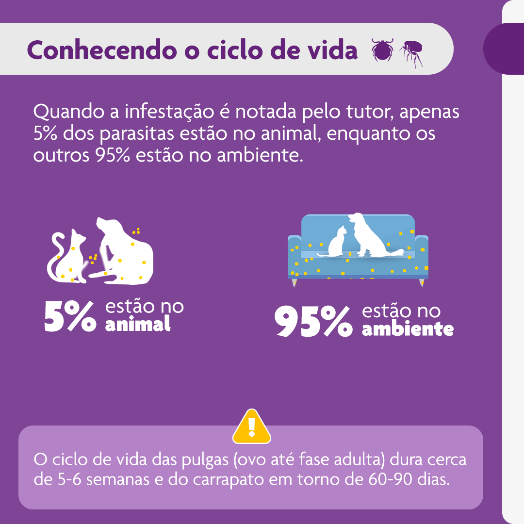 Antipulgas e Carrapatos Bravecto 10 kg a 20 kg Cães 500mg - Imagem 6