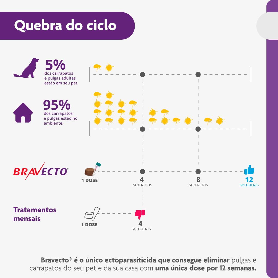 Antipulgas e Carrapatos Bravecto 10 kg a 20 kg Cães 500mg - Imagem 7