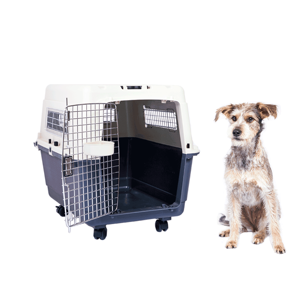 Caixa de Transporte para Cães e Gatos Gomoov - Imagem 44