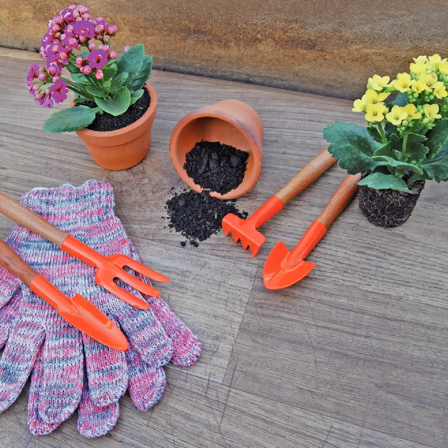 Conjunto para Jardinagem Tramontina - Imagem 6
