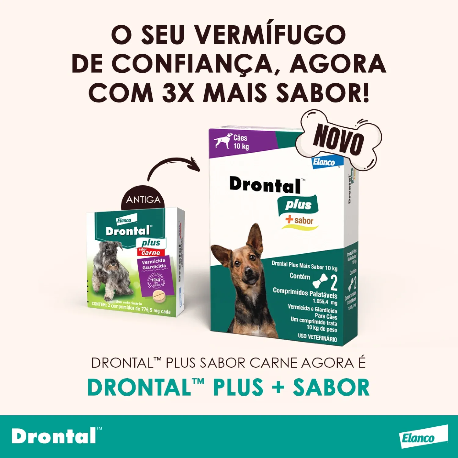 Vermífugo Drontal Plus + Sabor para Cães 10kg - Imagem 5