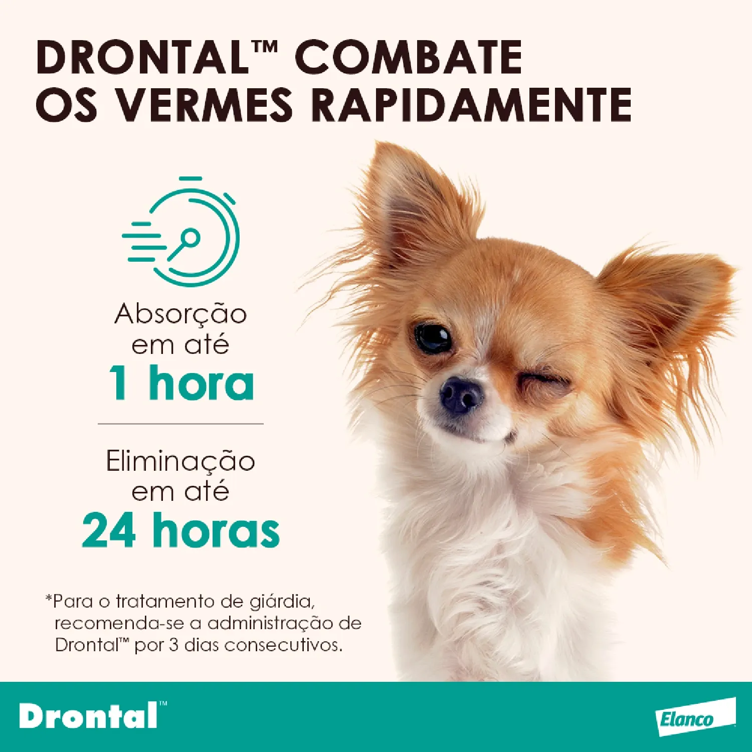 Vermífugo Drontal Plus + Sabor para Cães 10kg - Imagem 8