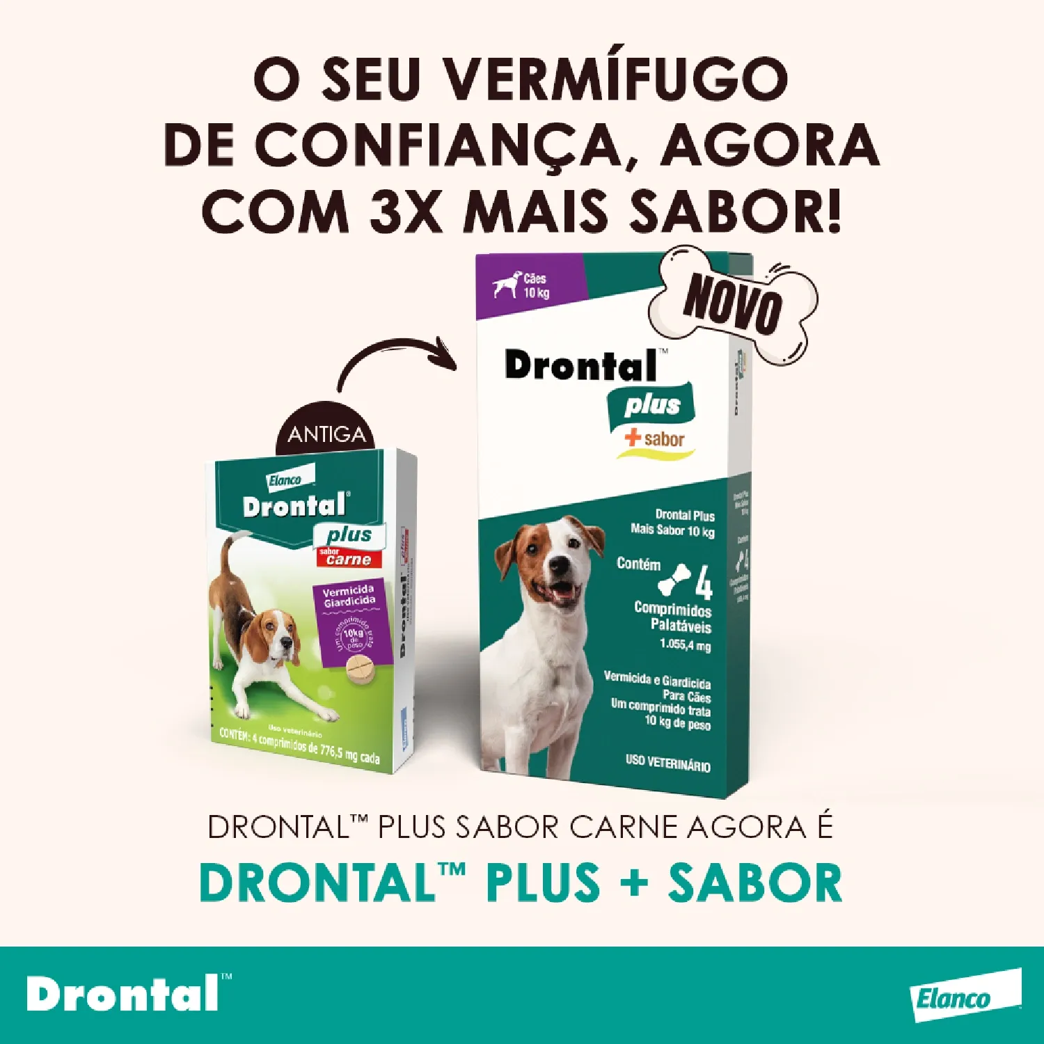 Vermífugo Drontal Plus + Sabor para Cães 10kg - Imagem 16