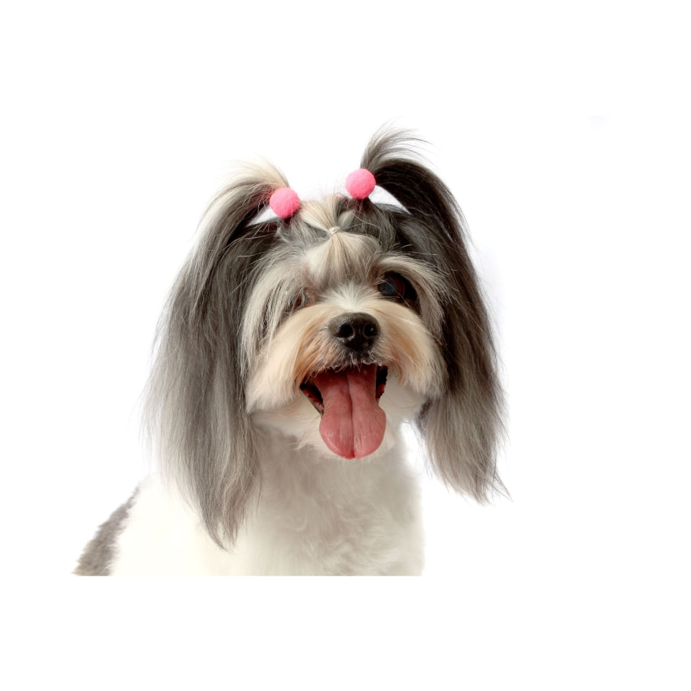 Enfeite Pom Pom para Cães Bichinho Chic - Imagem 9