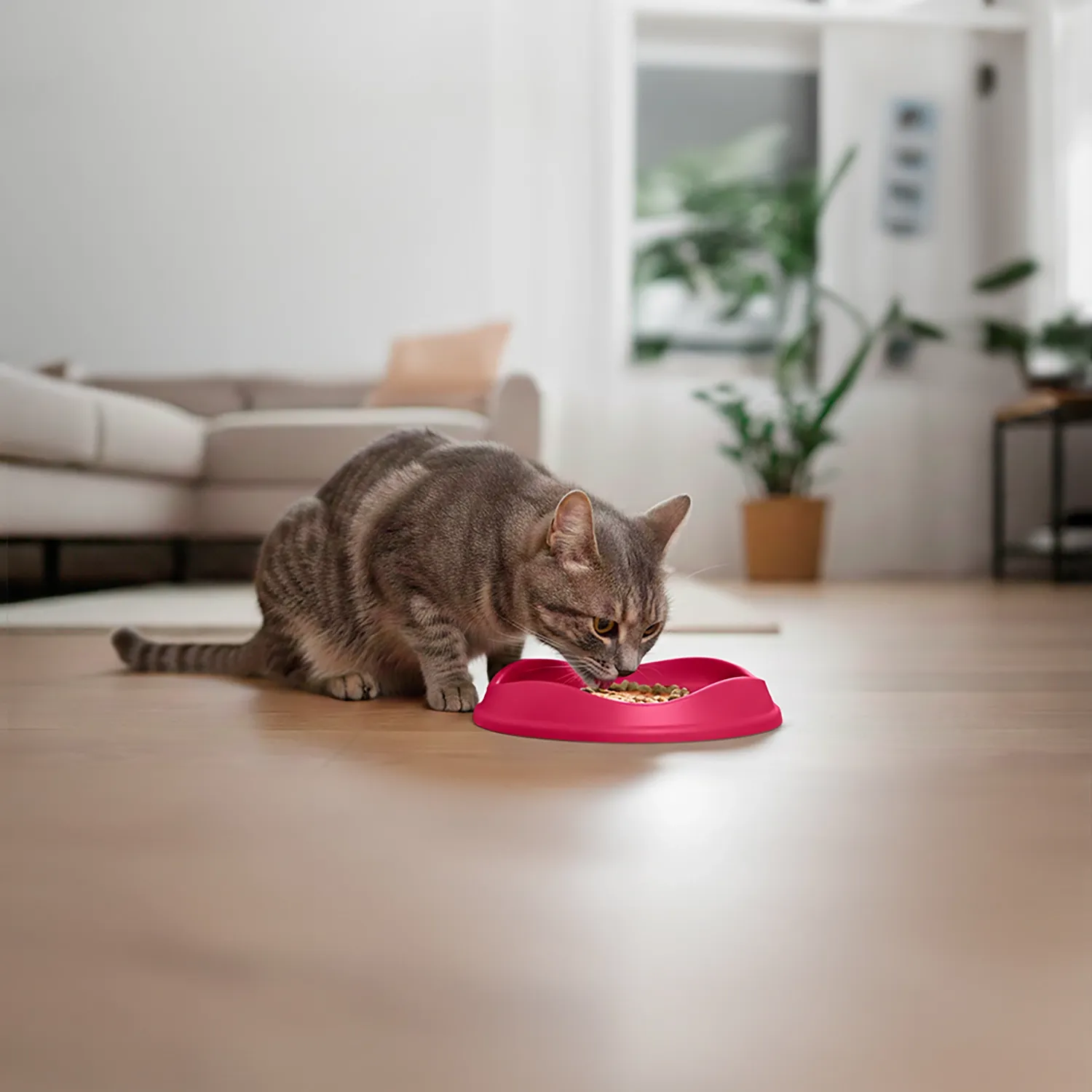 Comedouro Raso para Gatos Stark Pet Magenta - Imagem 7