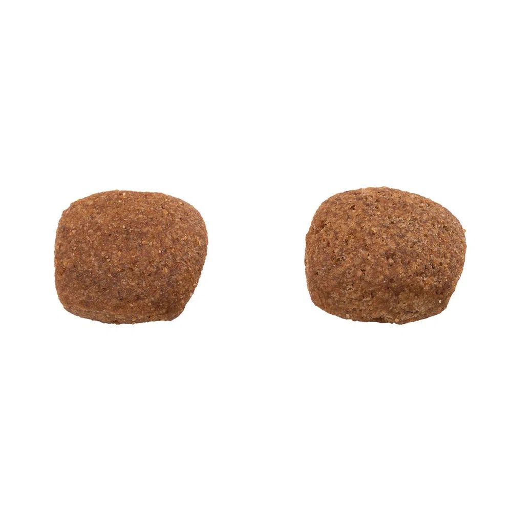 Ração Guabi Natural Cães Adultos Médio Frango e Arroz - Imagem 12