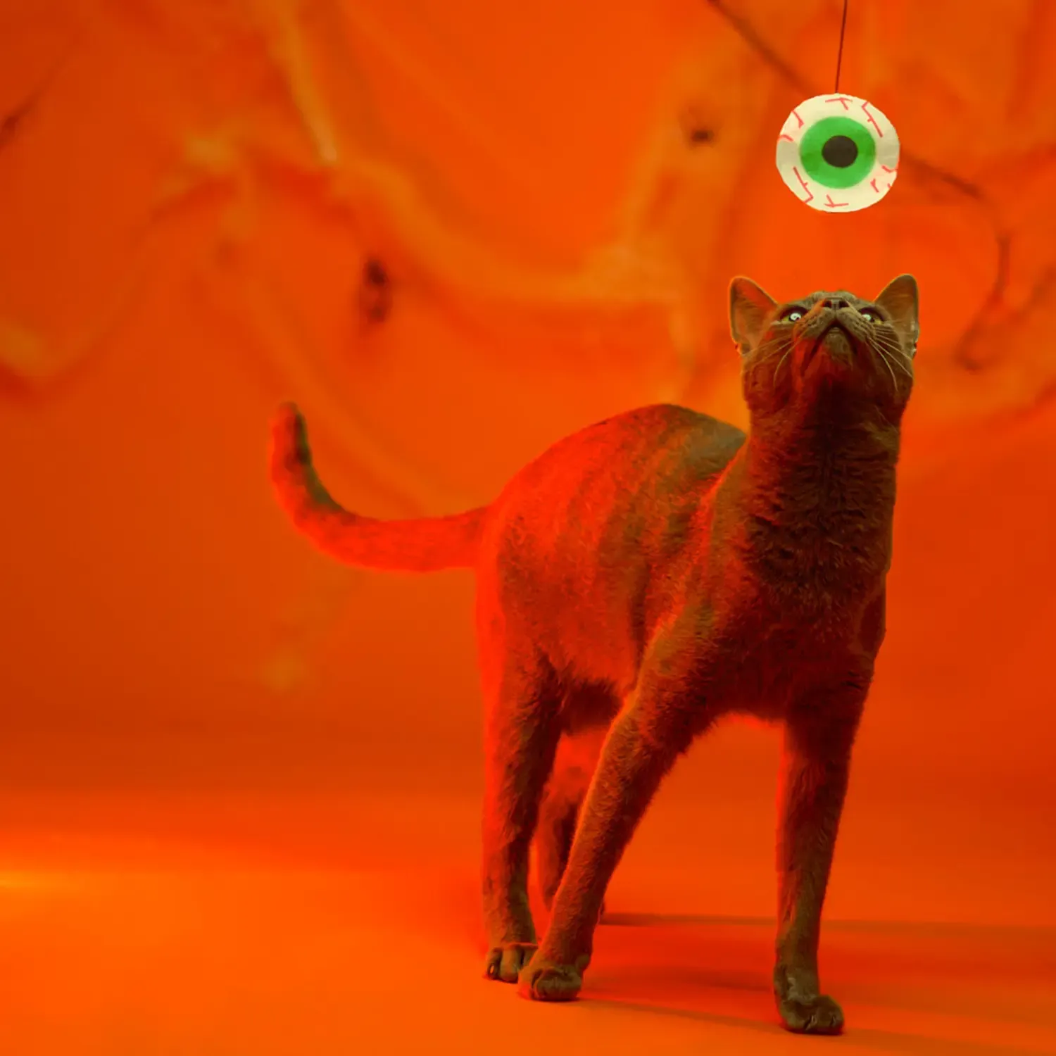 Brinquedo Varinha com Olho Savana - Imagem 5