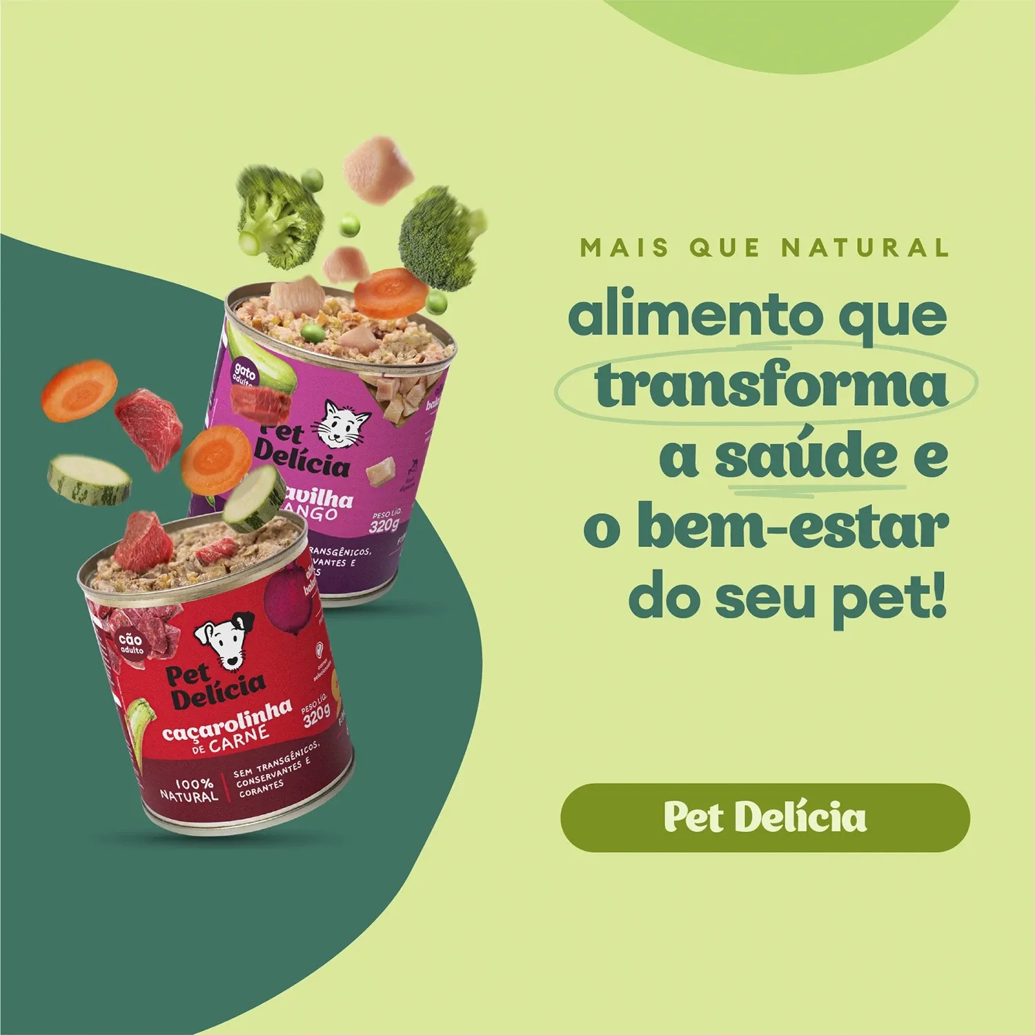 Ração Úmida Pet Delícia Gatos Maravilha de Frango - Imagem 19