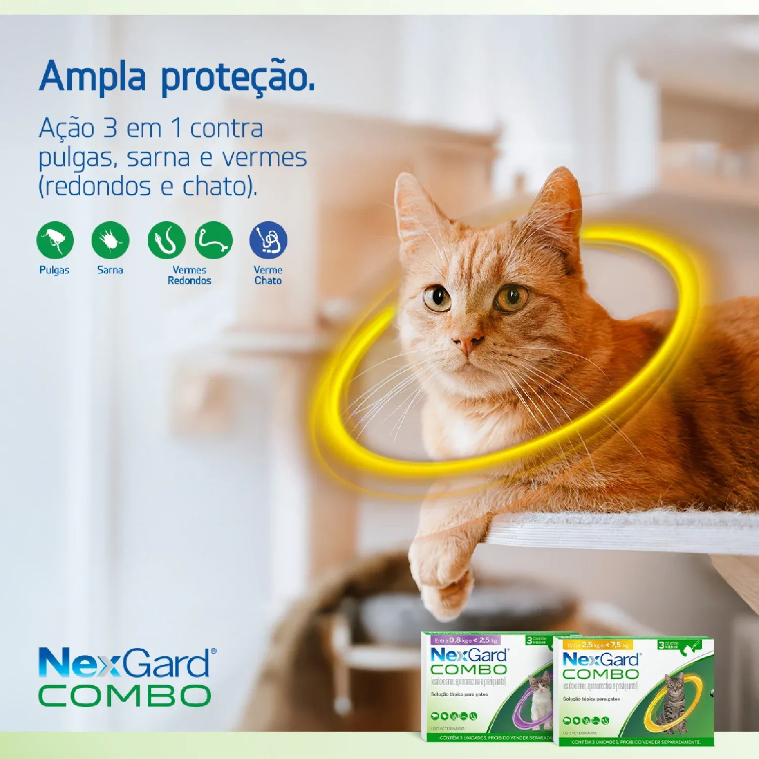 Nexgard Combo Antipulgas, Sarna e Vermífugo para Gatos de 2,5 a 7,5 kg - Imagem 12