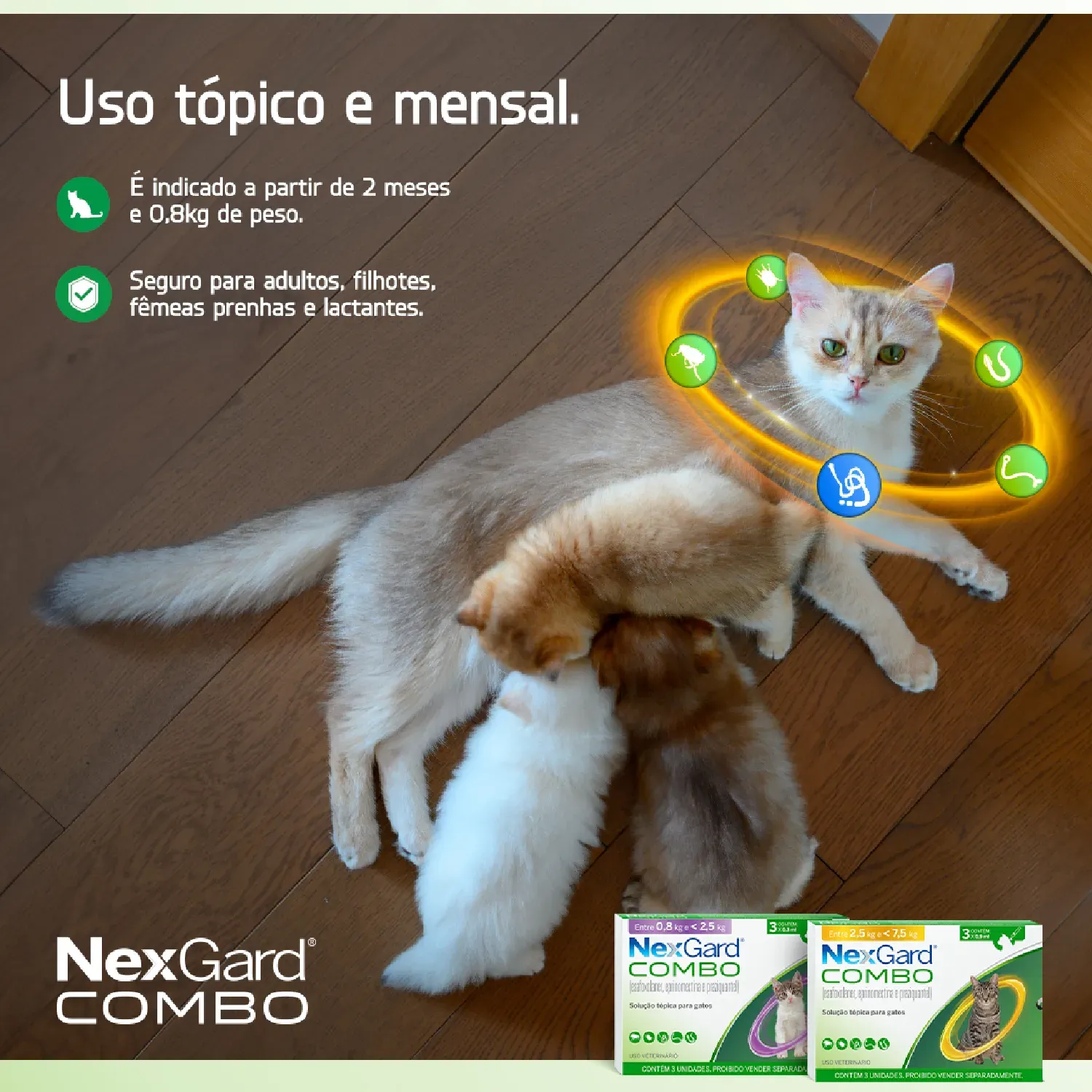 Nexgard Combo Antipulgas, Sarna e Vermífugo para Gatos de 2,5 a 7,5 kg - Imagem 6