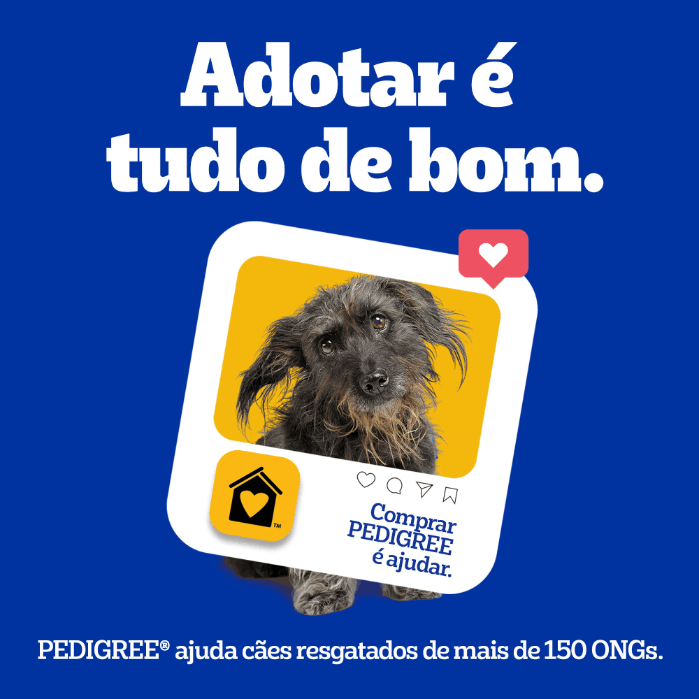 Petisco Pedigree Dentastix Cuidado Oral Cães Adultos Raças Pequenas - Imagem 20