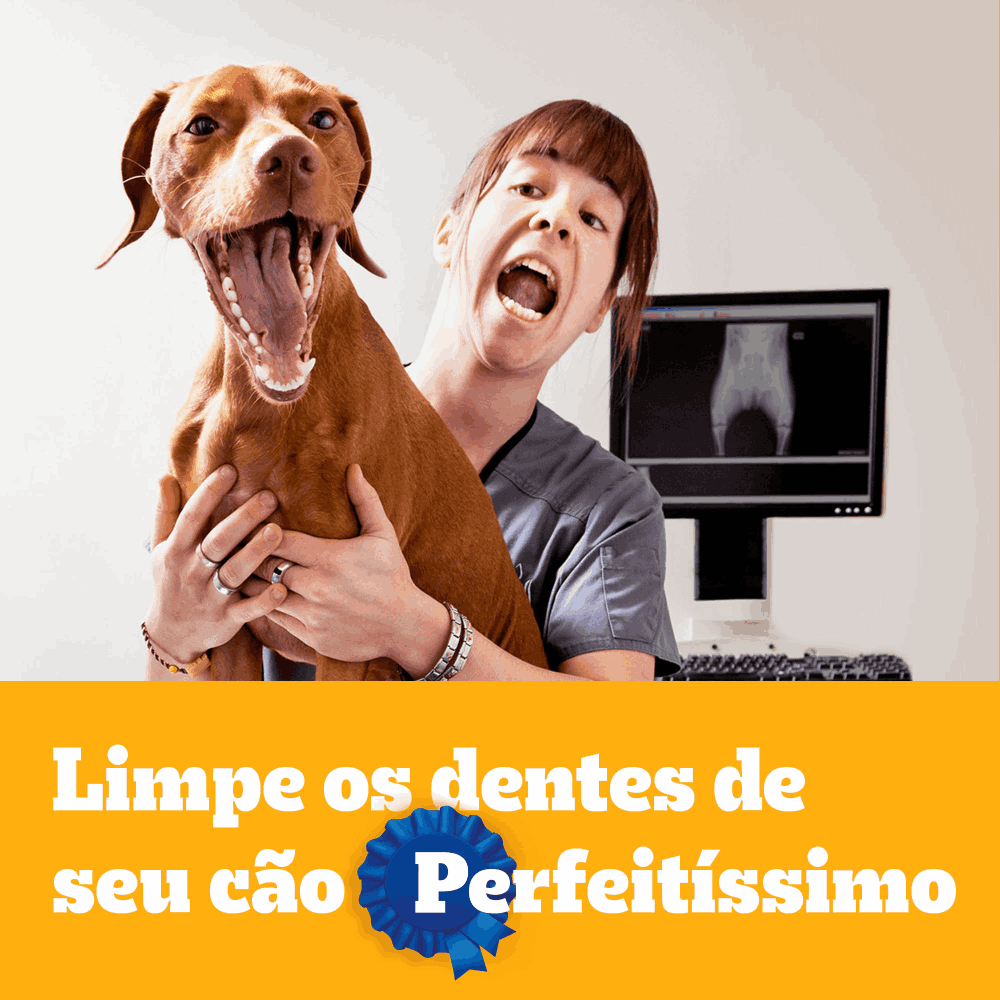 Petisco Pedigree Dentastix Cuidado Oral Cães Adultos Raças Médias - Imagem 20