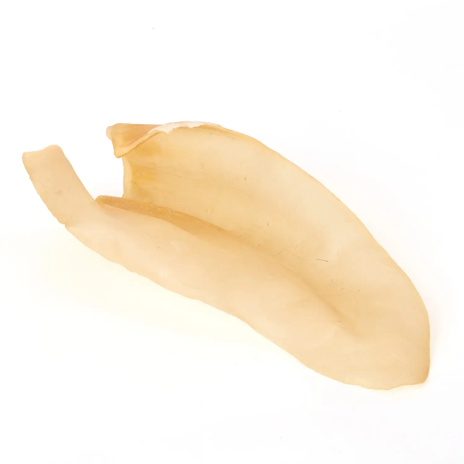 Joy Orelha Bovina Natural Desidratada - Imagem 4