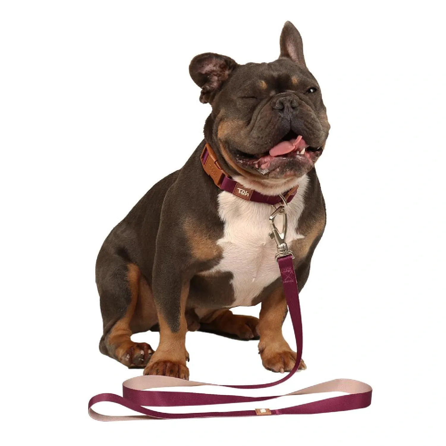 Guia Padrão para Cães Basic Toh Bordô - Imagem 5