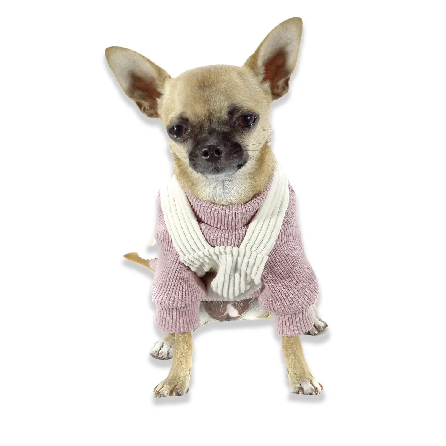 Cacharrel para Cães Bichinho Chic Rosê - Imagem 24