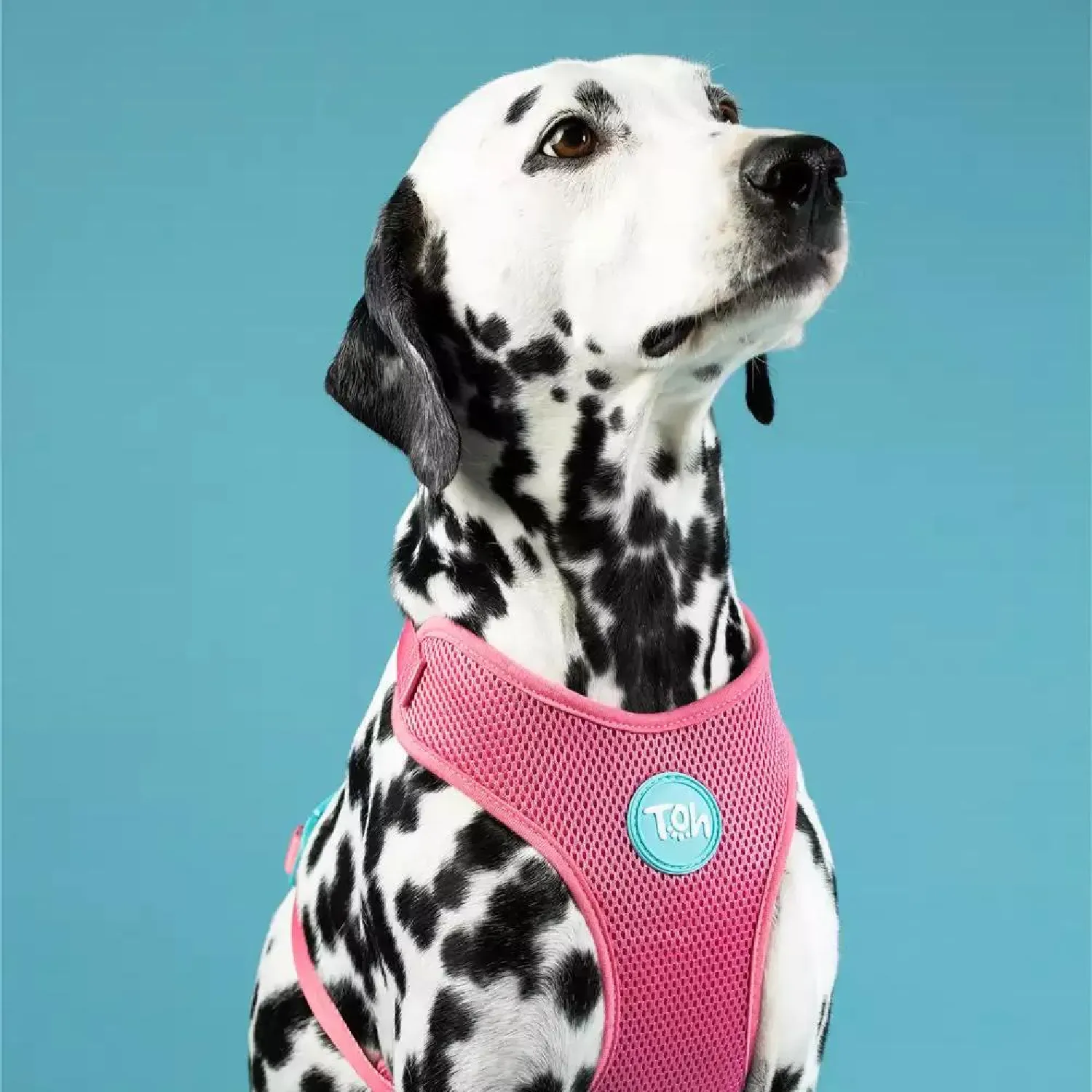 Peitoral H Mesh para Cães Toh Fiji - Imagem 3