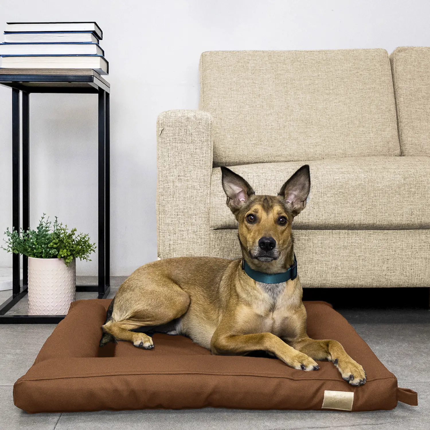 Cama Flat Cordoba Fábrica Pet Marrom - Imagem 15