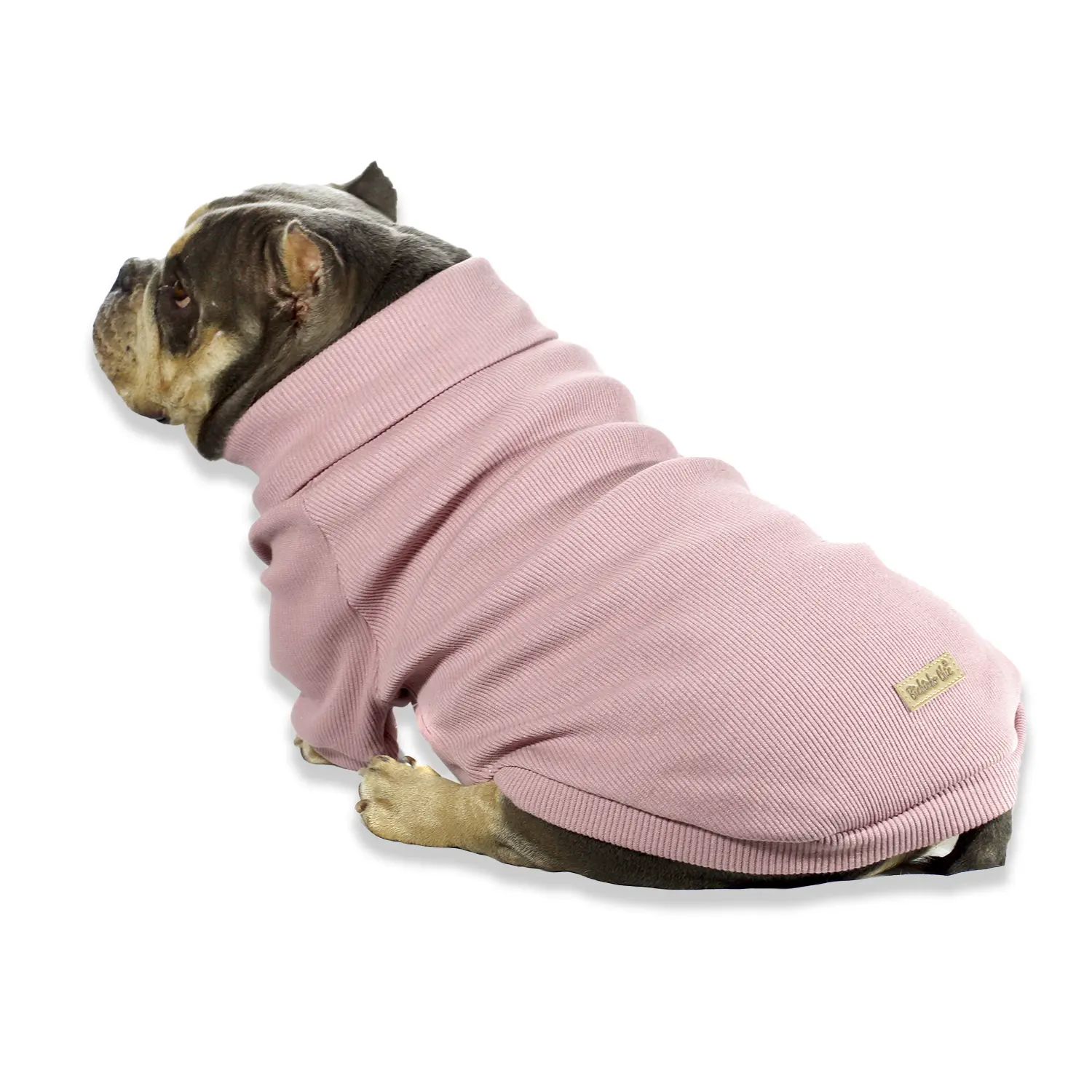 Cacharrel para Cães Bichinho Chic Rosê - Imagem 19