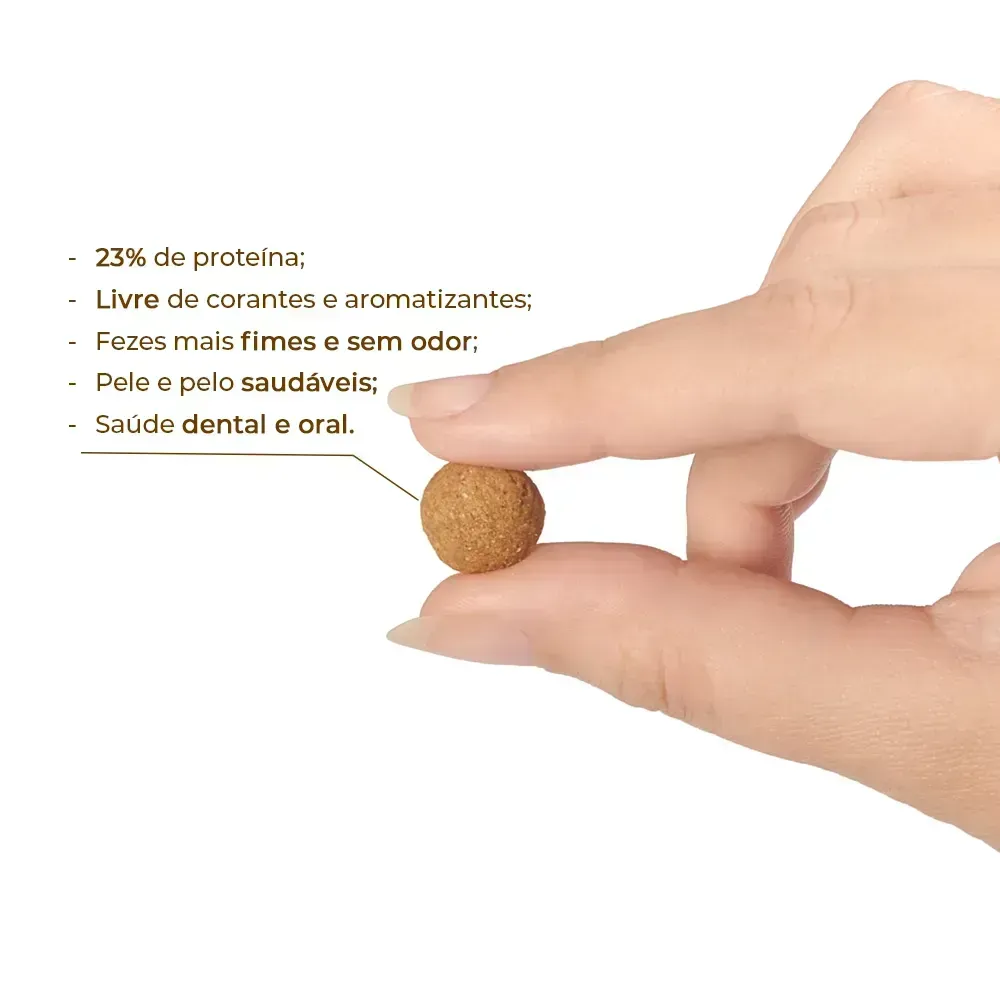 Ração Joy High Premium Cães Adultos Raças Médias e Grandes Frango e Carne - Imagem 5